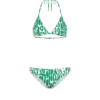 Bikini triangle