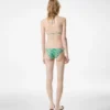 Bikini triangle