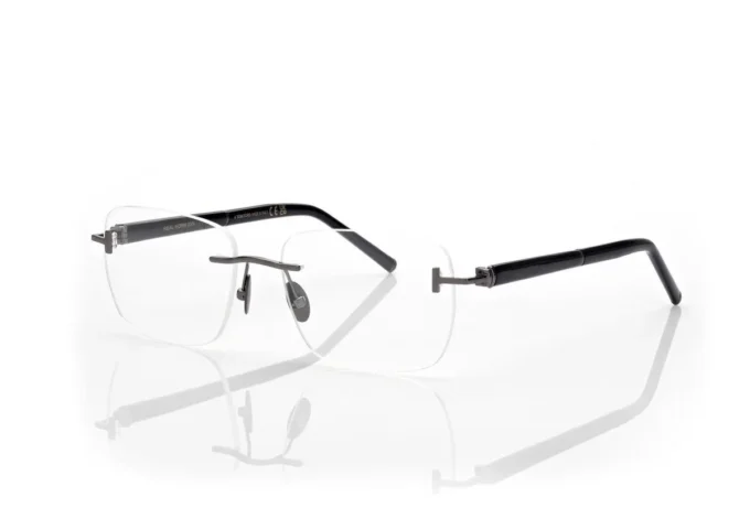 Lunettes rectangulaires en corne et titane Lunettes rectangulaires en corne et titane